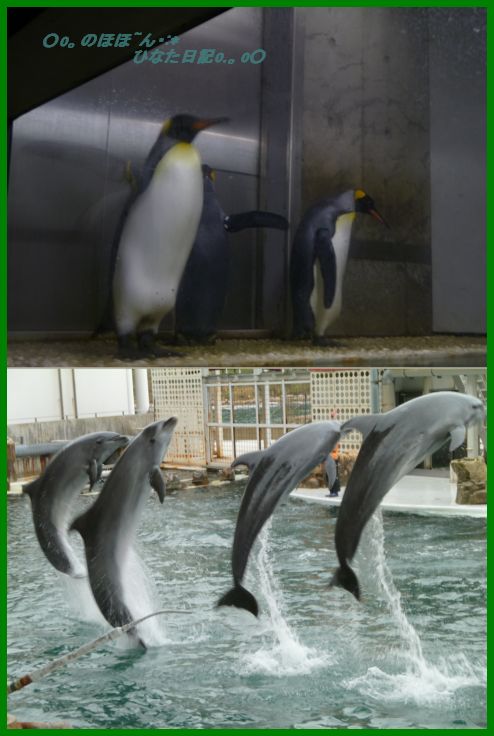 城崎マリンワールド