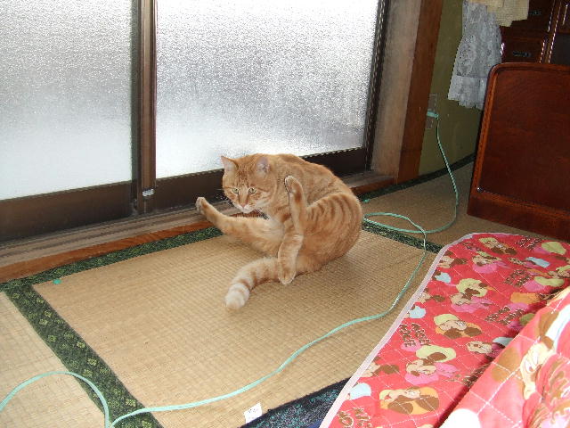 ふうふうー４
