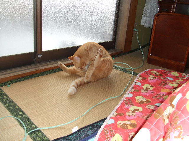 ふうふうー５