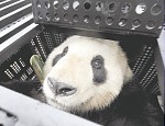 20110221-102111_S.jpg