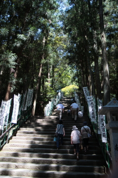 IMG_5268sss.JPG