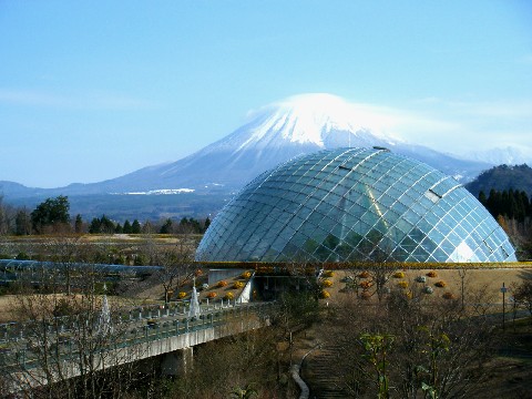 大山とドーム