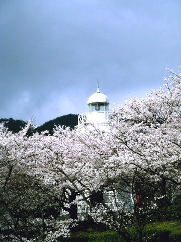 台場4