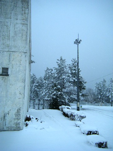 雪の体育館1
