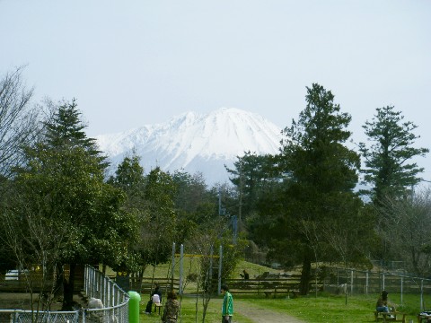 トムソーヤからの大山