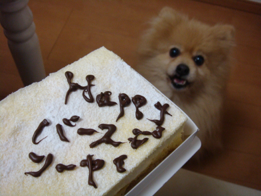 ケーキ３.jpg