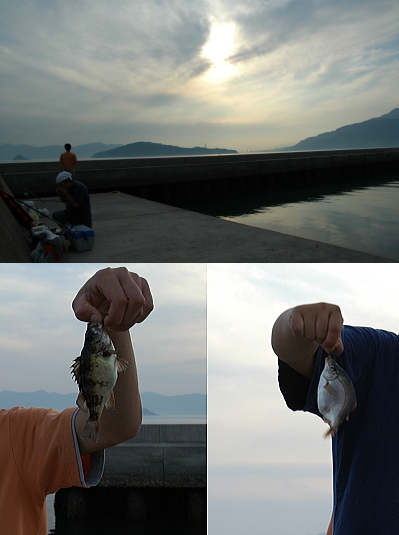 メバルとタナゴはここで釣れたんよ～