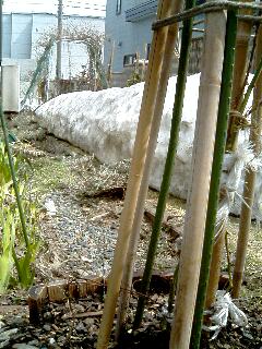 21.04裏庭入り口