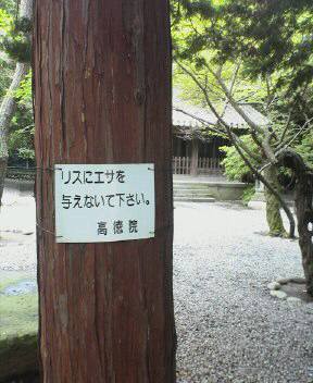 こんな看板が・・・