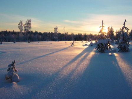 2月のラップランド