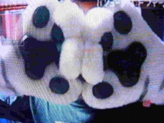 猫ひろし　『1』