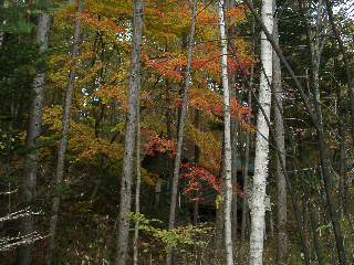 山小屋の紅葉2