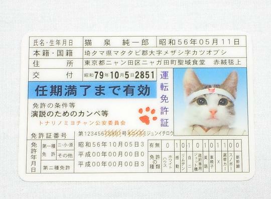 なめ猫　免許証