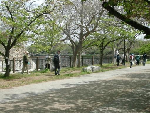 お掃除ボラ　大阪城公園2