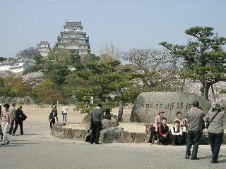 姫路城の桜　2