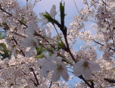2005-04-10 09:15:01