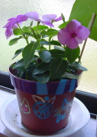 5/25