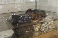 2005-05-18 06:33:22