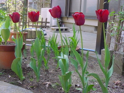 2005-04-17 15:00:28