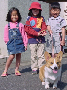 2005-04-17 15:04:50