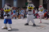 2005-05-15 13:40:18