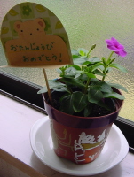 2005-05-21 13:13:19