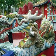 龍