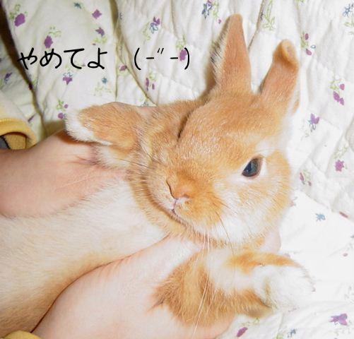 なにすんだよ～