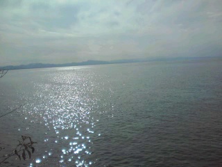 粟島神社からの海