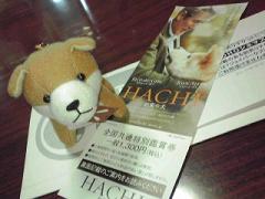 HACHI