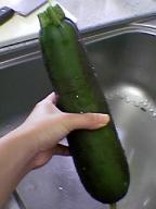 zucchini