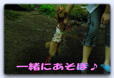 さくら２.jpg
