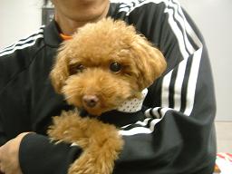 060923御殿場 016.JPG