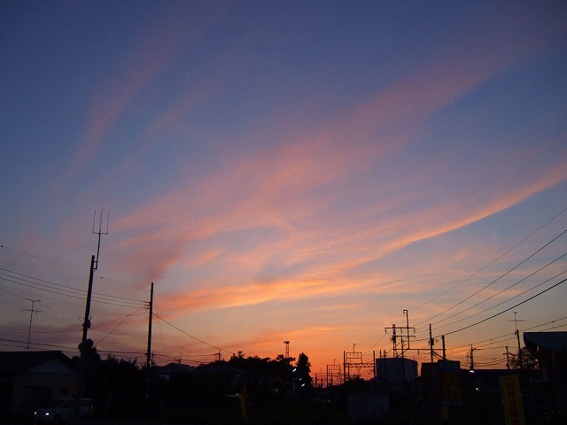 2007_0617花と空0004.jpg