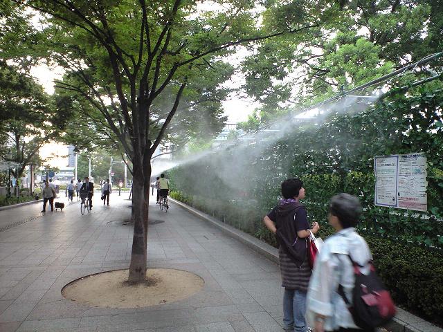 画像 0571.JPG