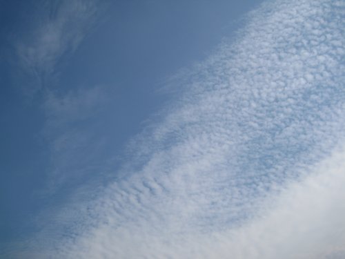 cirrocumulus