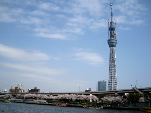 110410_TST東武鉄橋下