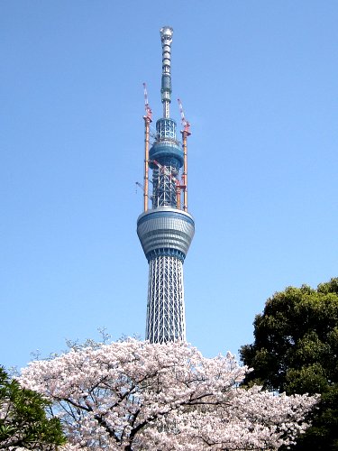 110410_TST隅田公園2