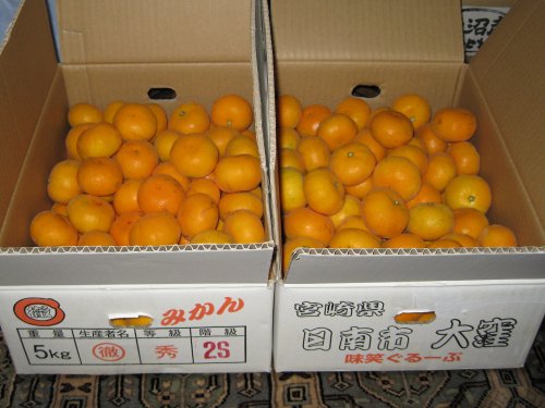 MandarinOranges