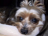 2005-12-05 21:53:12