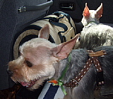 conv0096.JPG