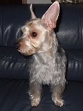 conv0364.JPG