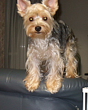 conv0076.JPG