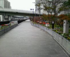 中之島遊歩道.jpg