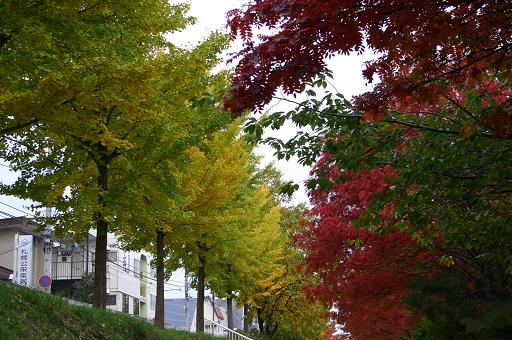 白石サイクリングロードの紅葉