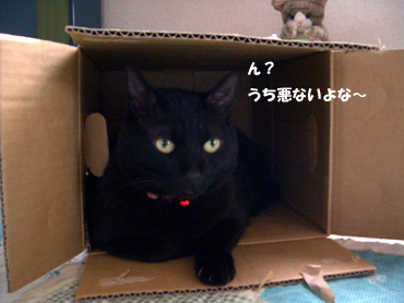 私悪くないよね～？