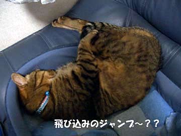 しかもこんな格好で眠っているとは・・・