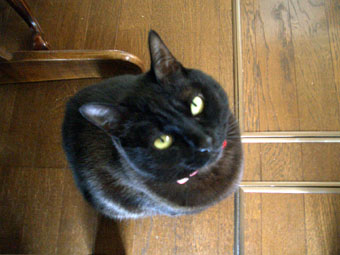 ええ加減にしてや～