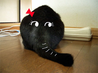 ぞーうさんぞーうさん。