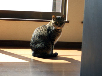 あいつがいるとな～